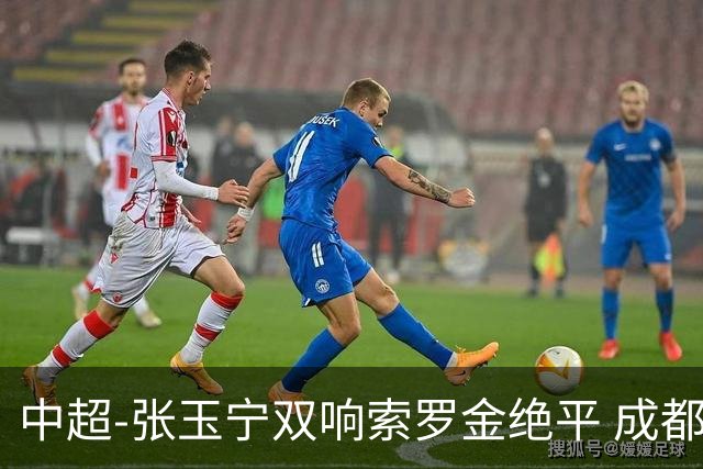 中超-张玉宁双响索罗金绝平 成都连扳两球2-2国安4连平